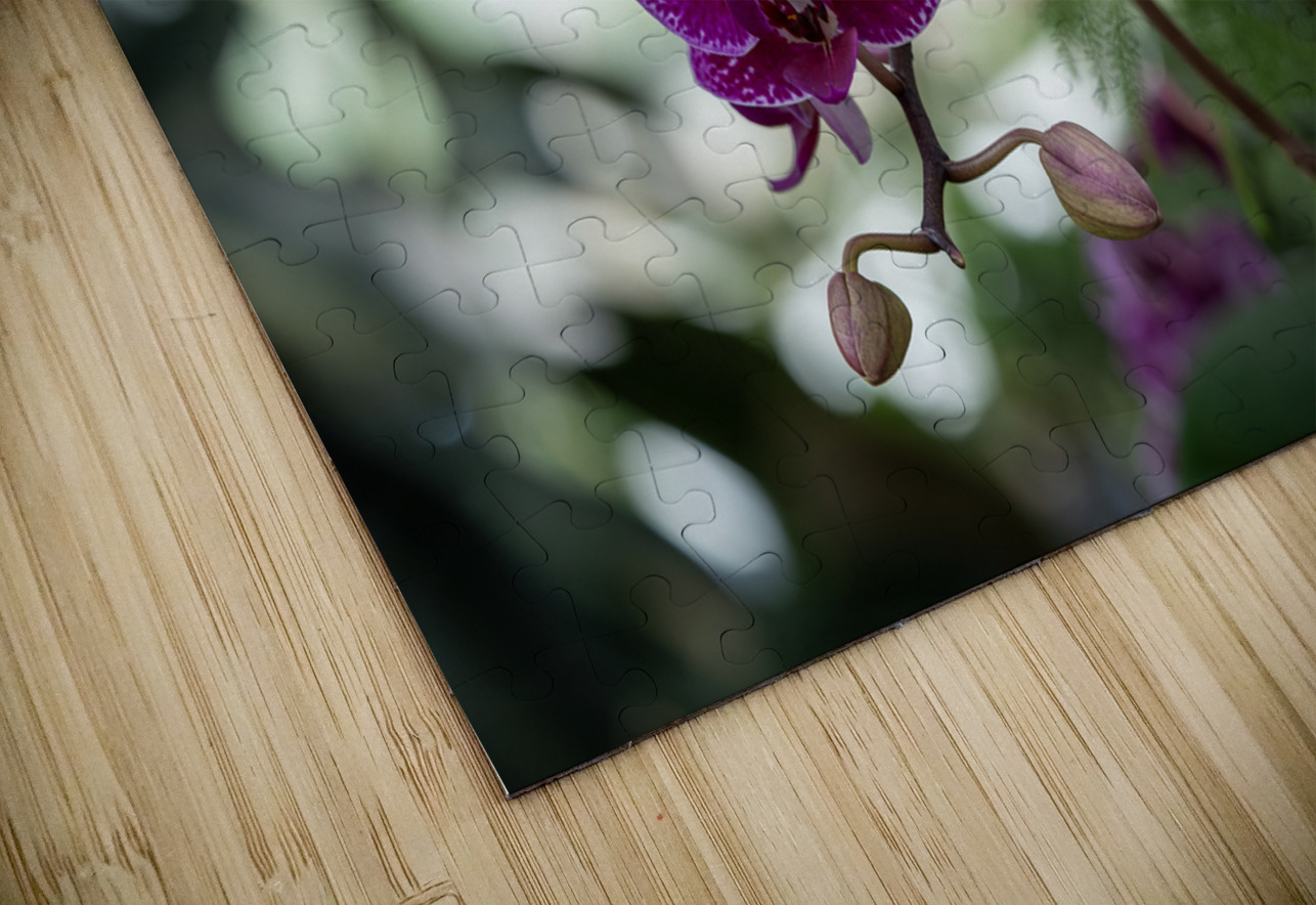 Velvet Violet Suzanne Bonin Puzzle