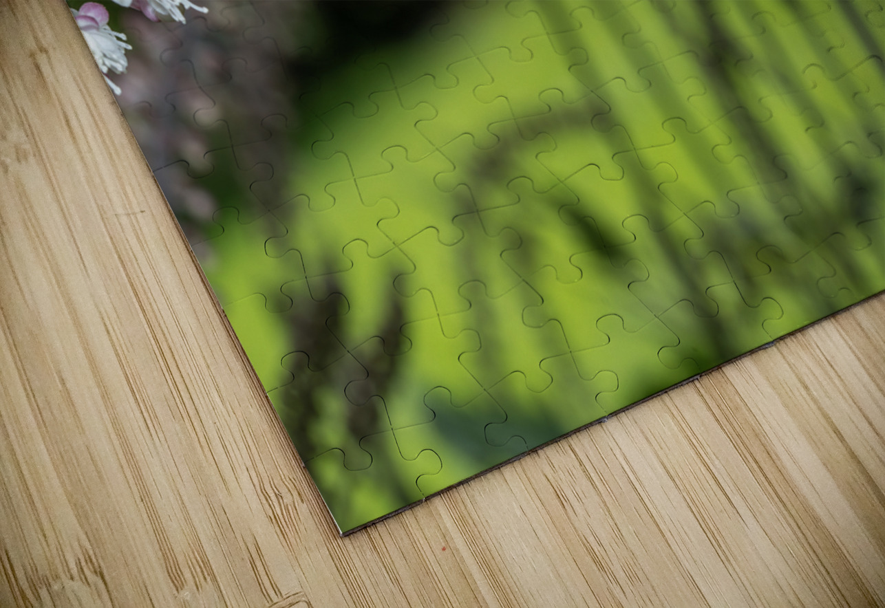 Fairy Candle Suzanne Bonin Puzzle