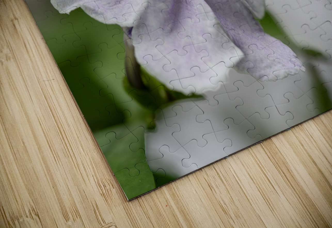 Mauve Melody 1 Suzanne Bonin Puzzle
