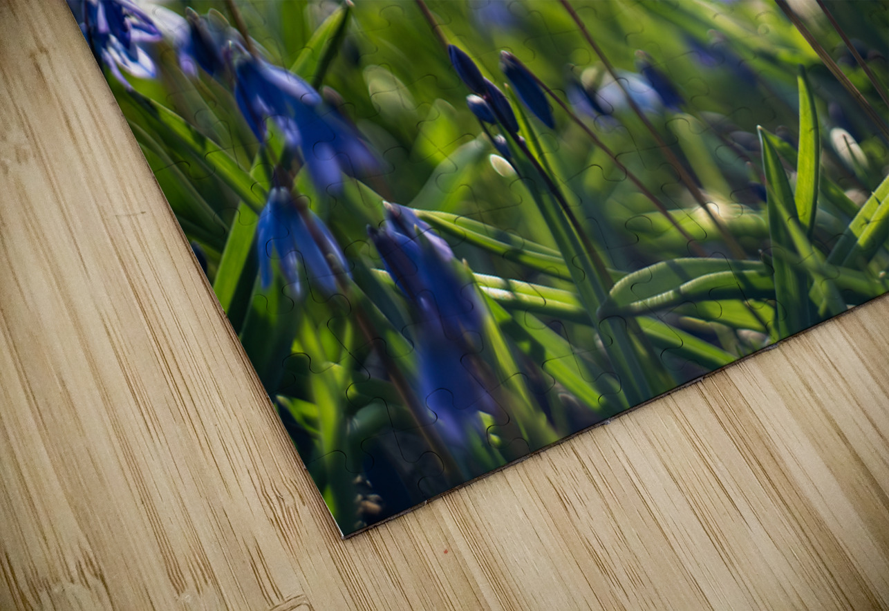 Meadow Melody Suzanne Bonin Puzzle