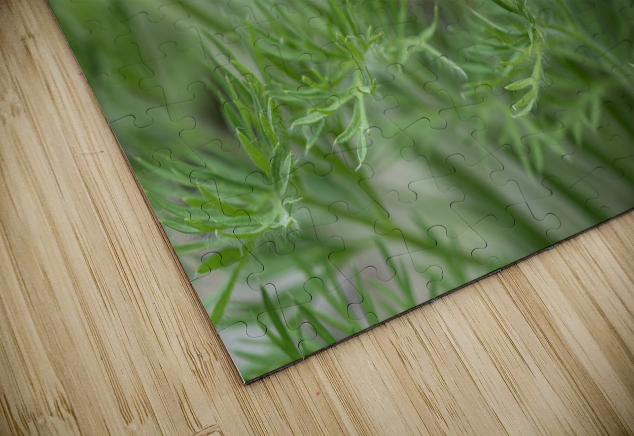 Purple Paradise Suzanne Bonin Puzzle