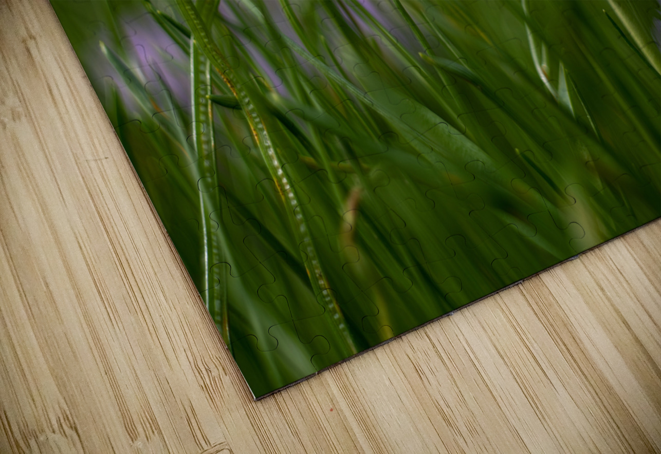 Purple Hues Suzanne Bonin Puzzle