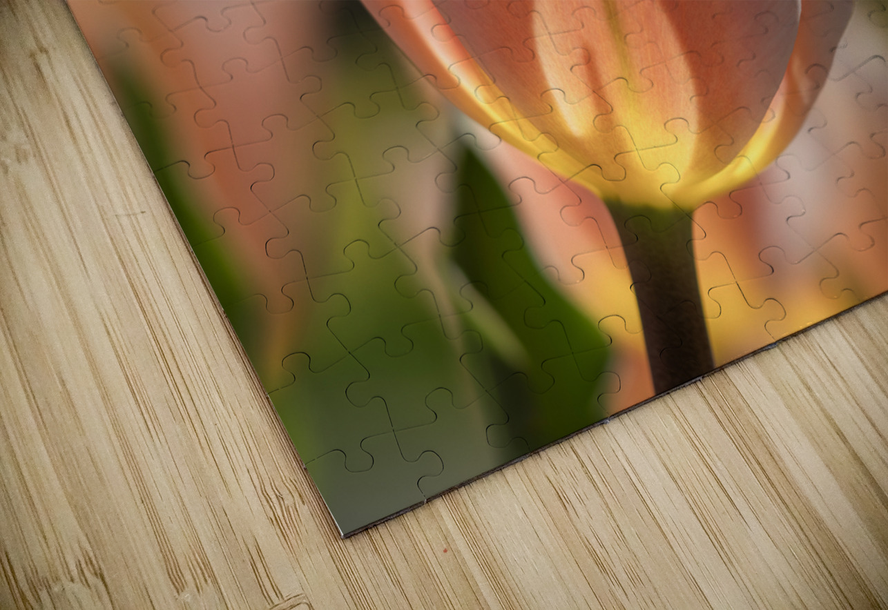 Radiant Reverie Suzanne Bonin Puzzle