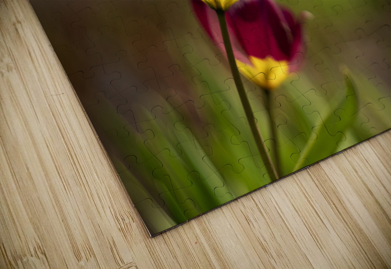 Wine Stained Whispers Suzanne Bonin Puzzle