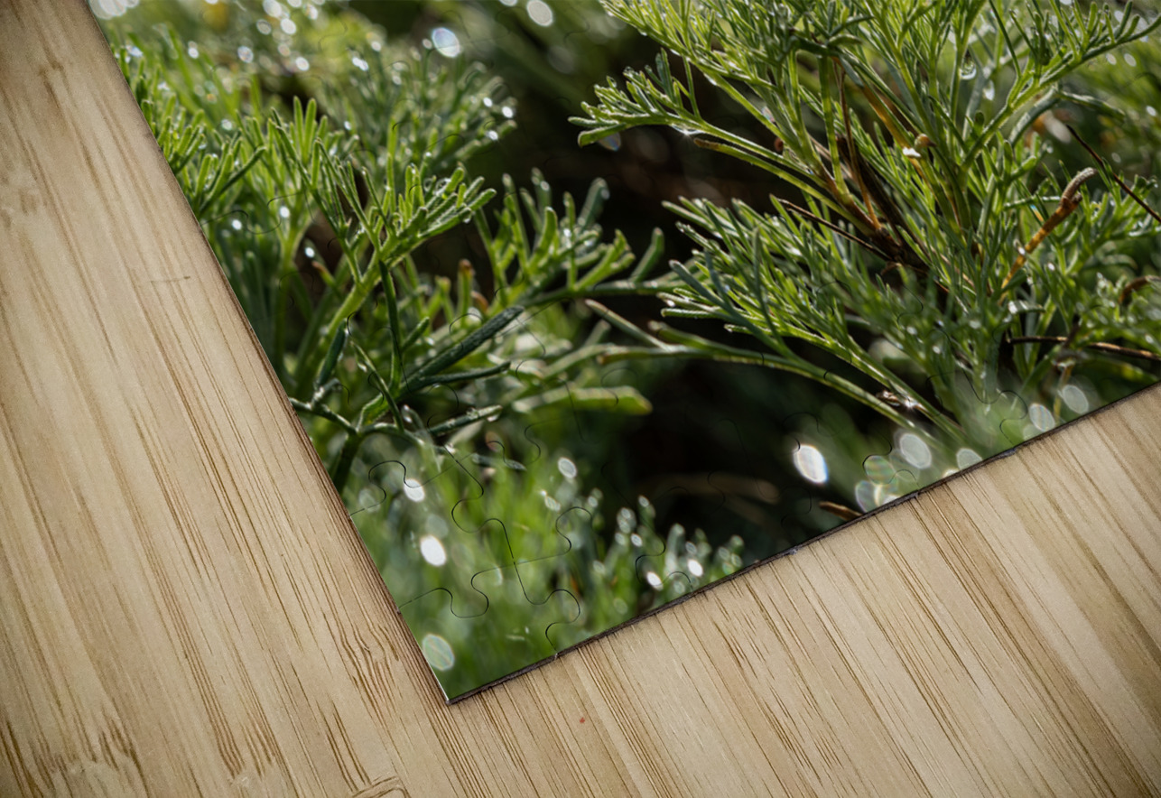 Spring Bokeh Suzanne Bonin Puzzle