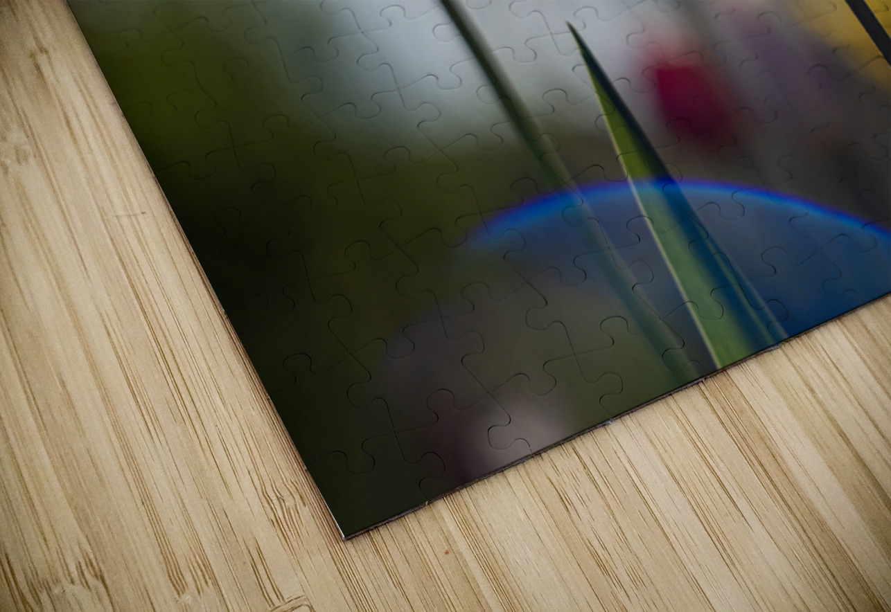  SBP7997 Suzanne Bonin Puzzle