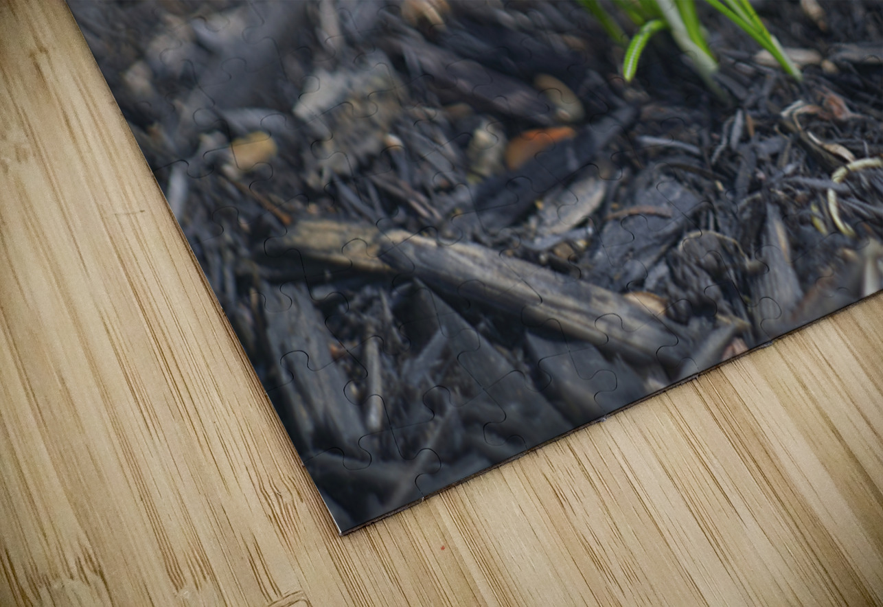  SBP4872 Suzanne Bonin Puzzle