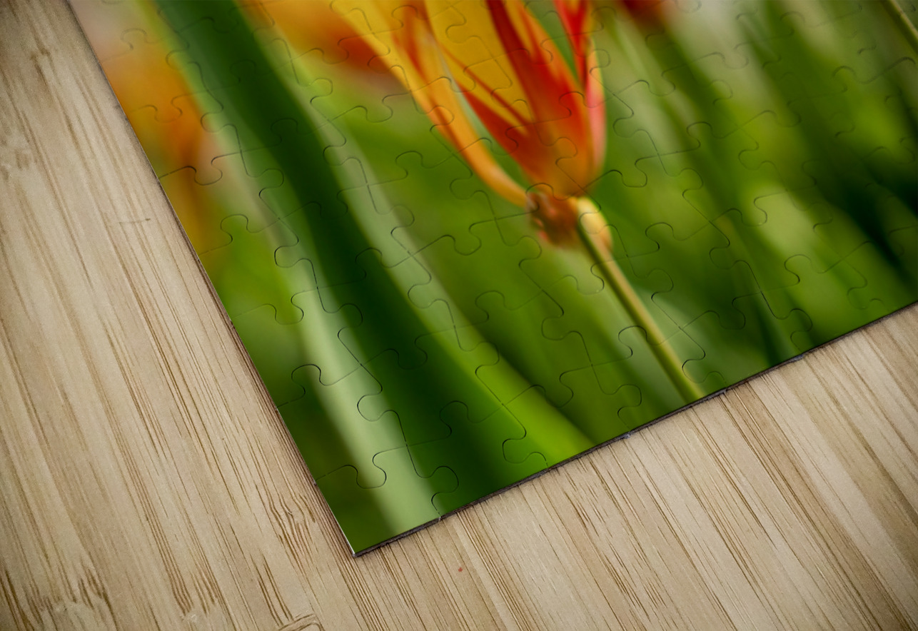  SBP6290 Suzanne Bonin Puzzle