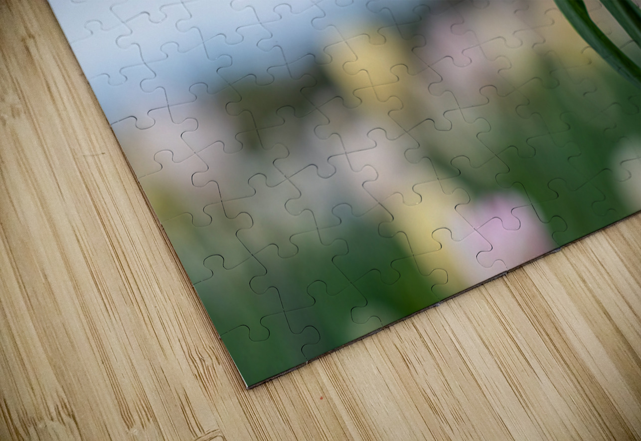  SBP7668 Suzanne Bonin Puzzle