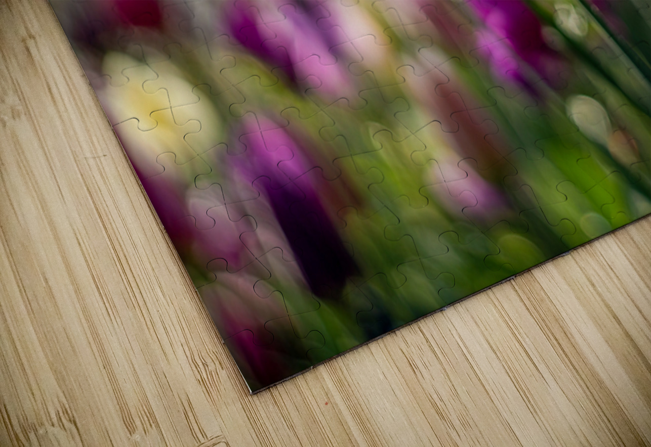  SBP5470 Suzanne Bonin Puzzle