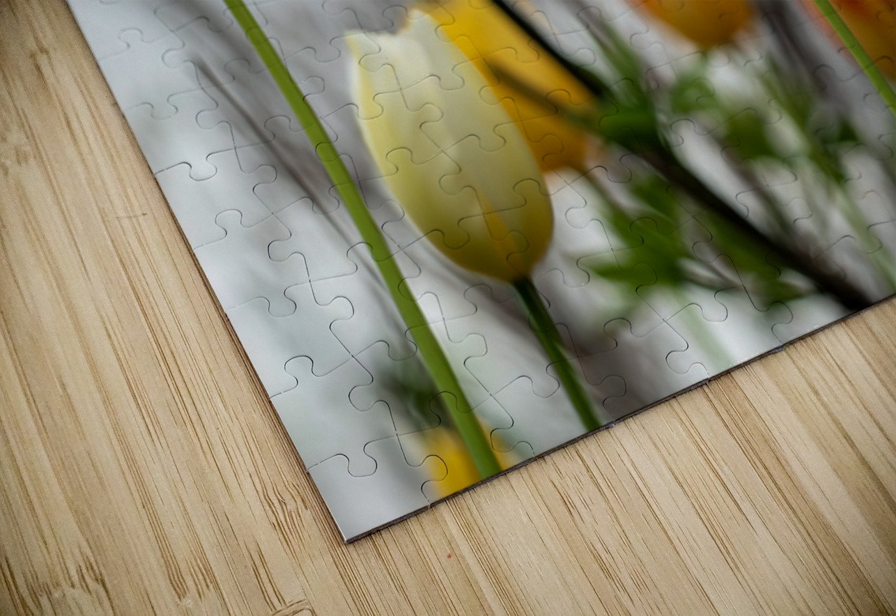 SBP8335 Suzanne Bonin Puzzle