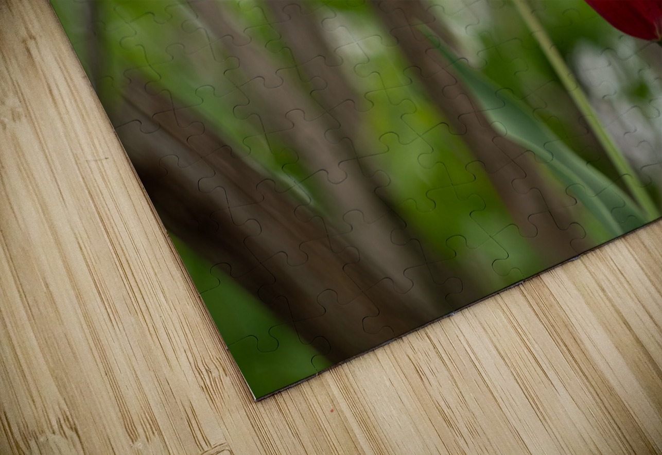 SBP8333 Suzanne Bonin Puzzle