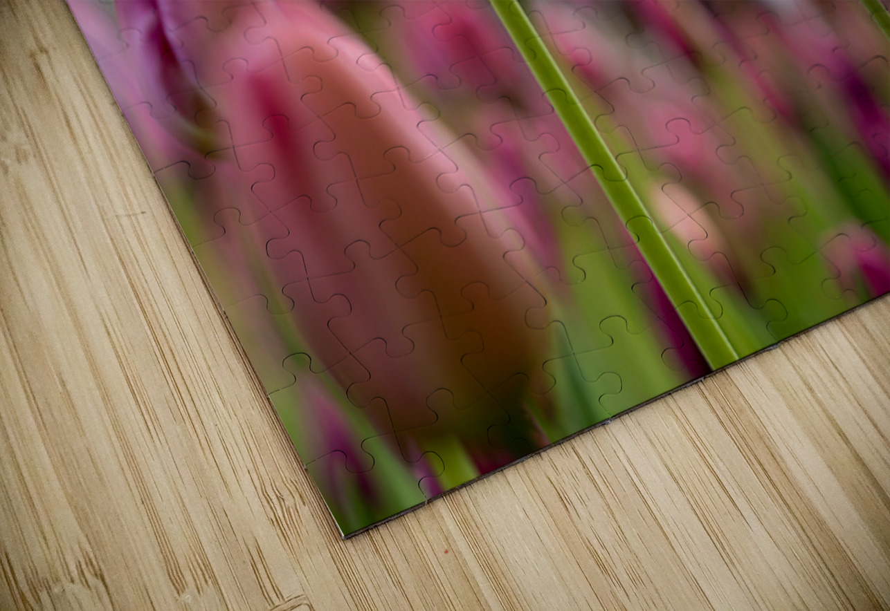 SBP6693 Suzanne Bonin Puzzle