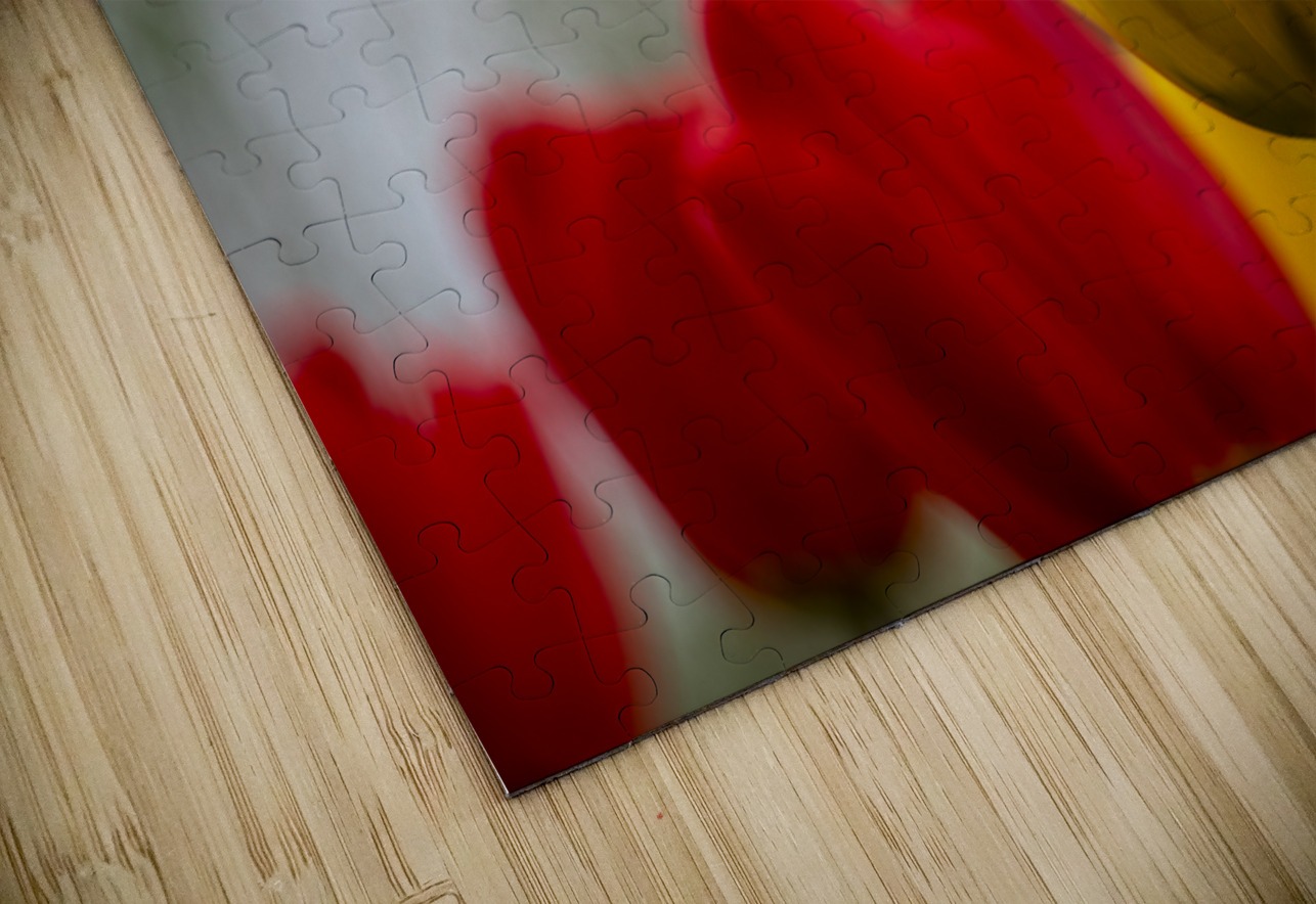 SBP5634 Suzanne Bonin Puzzle