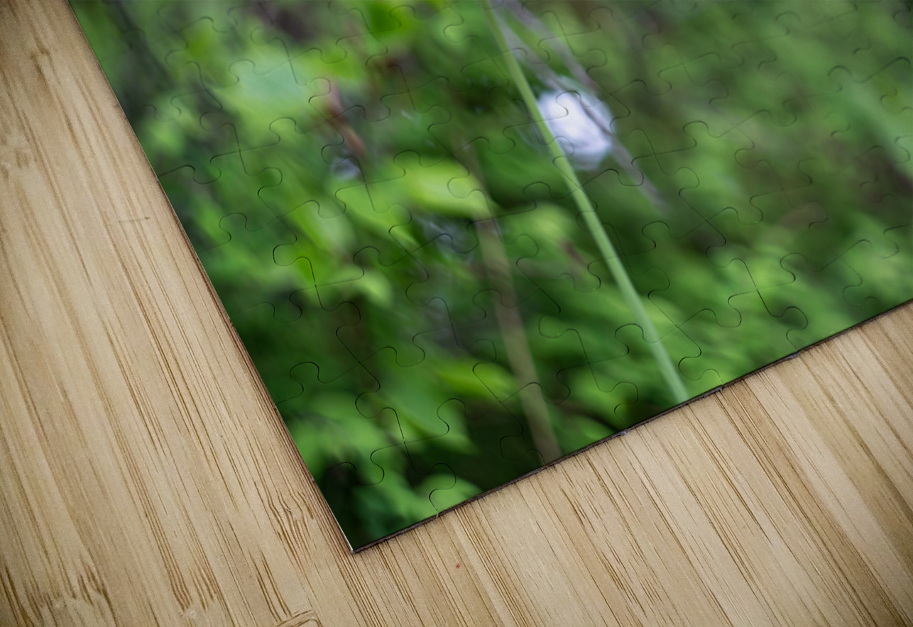 SBP8207 Suzanne Bonin Puzzle