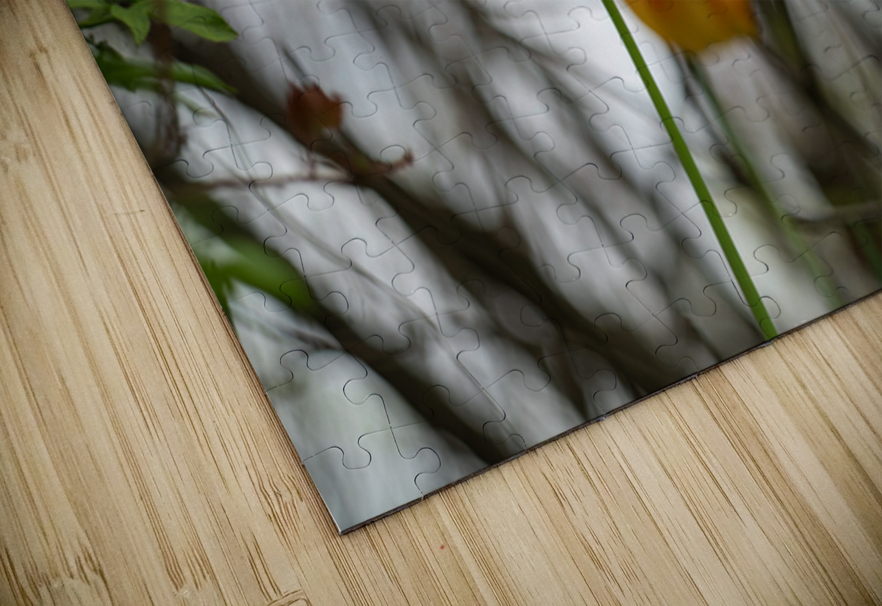 SBP8285 Suzanne Bonin Puzzle