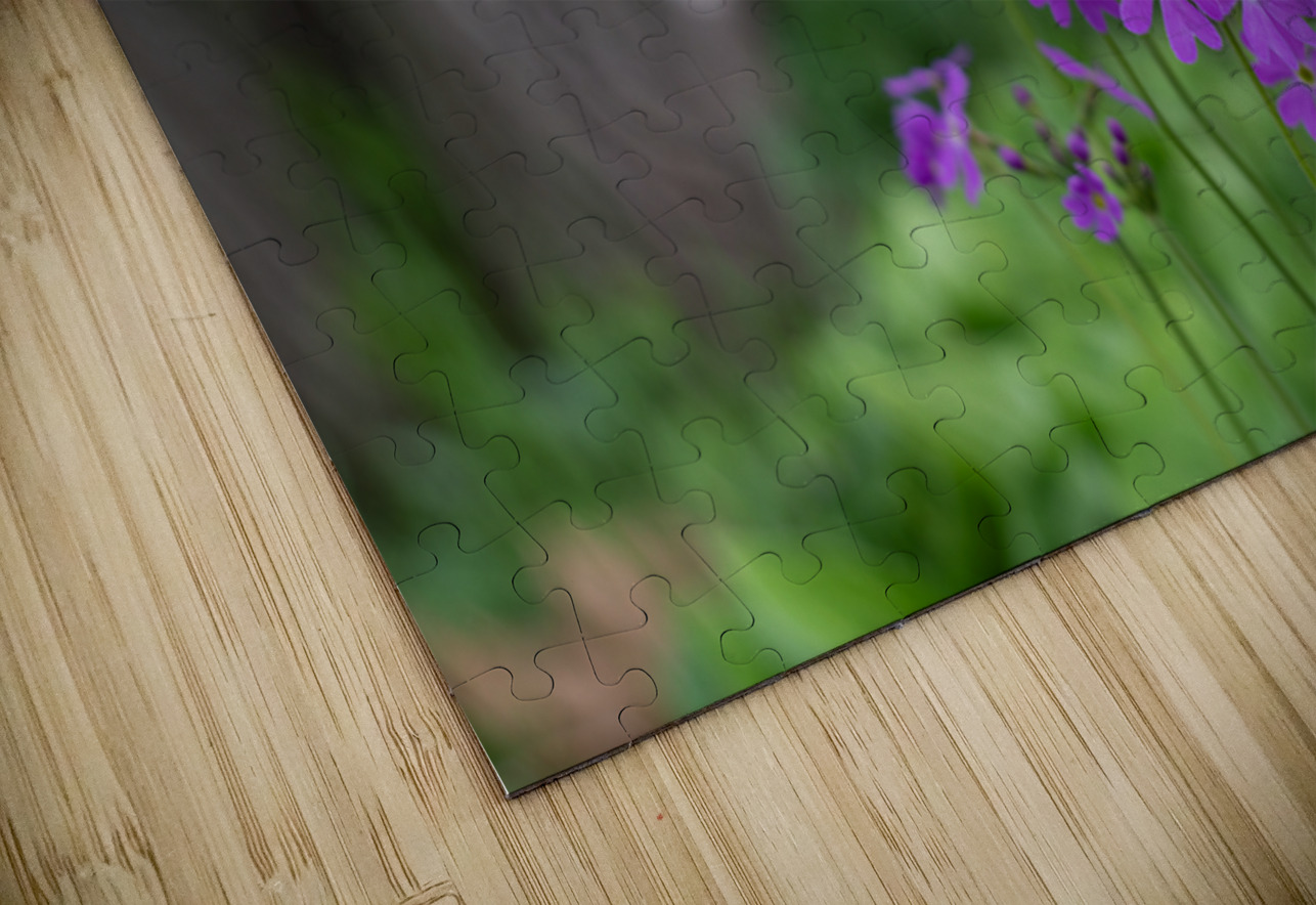 SBP8427 Suzanne Bonin Puzzle