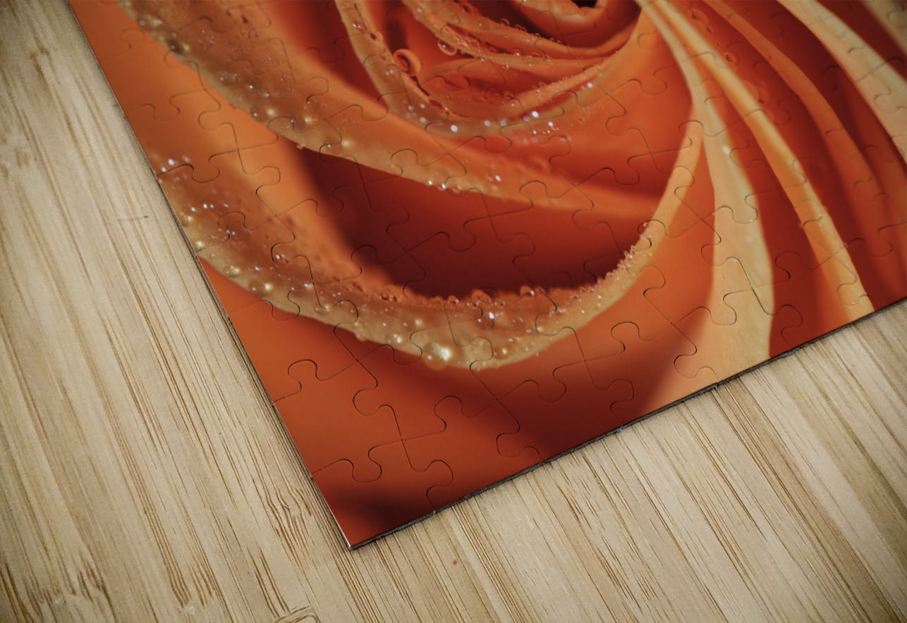 Peach Rose Suzanne Bonin Puzzle