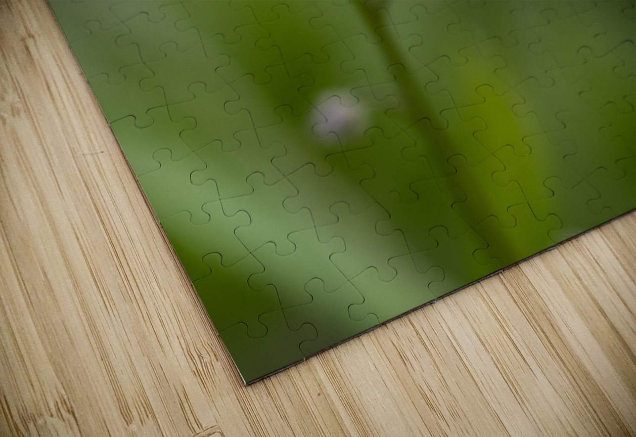 Never Forget Suzanne Bonin Puzzle