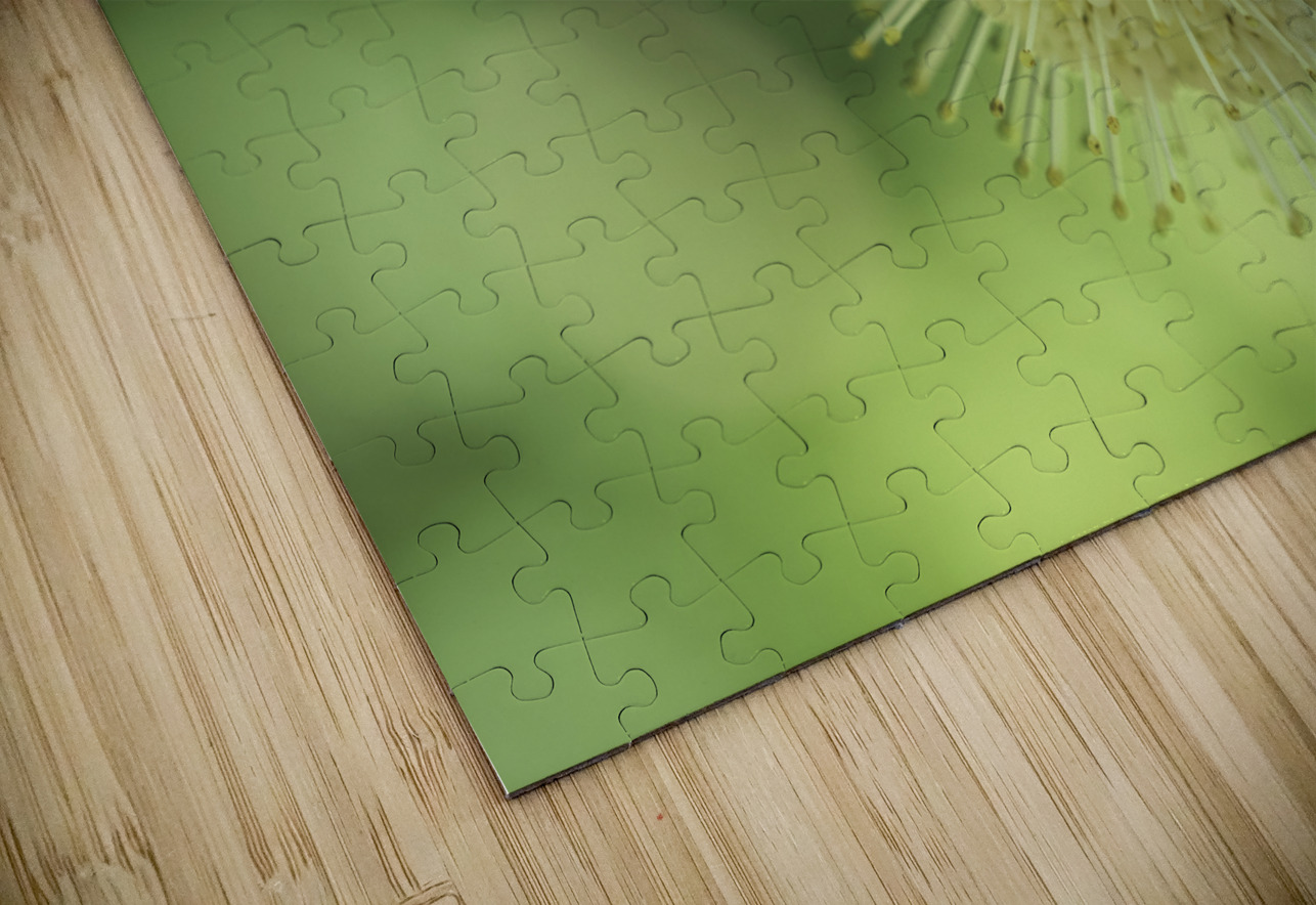 Cephalanthus Occidentalis Suzanne Bonin Puzzle