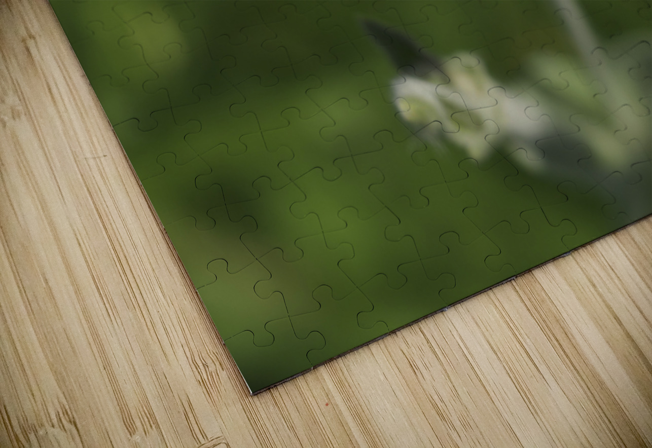 Velvety Beauty Suzanne Bonin Puzzle