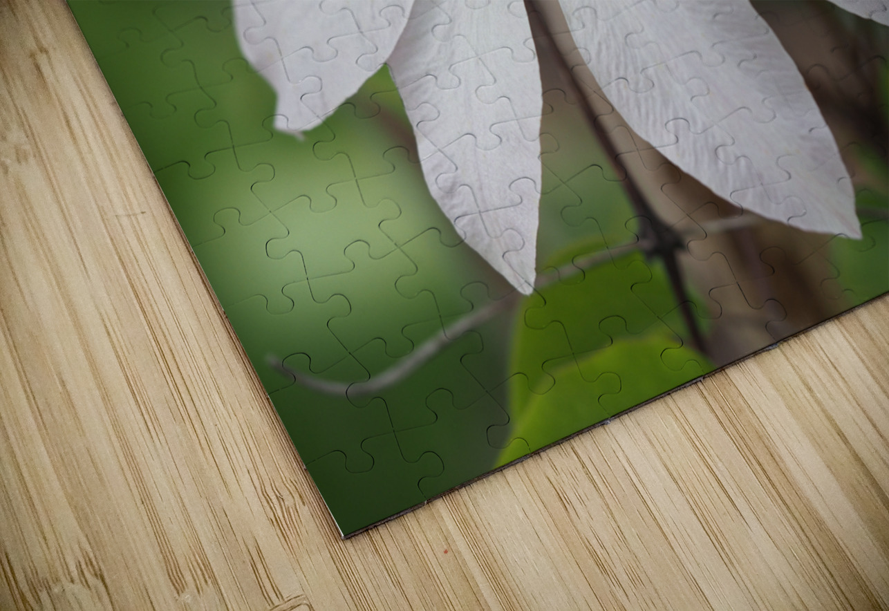 Hidden Beauty Suzanne Bonin Puzzle