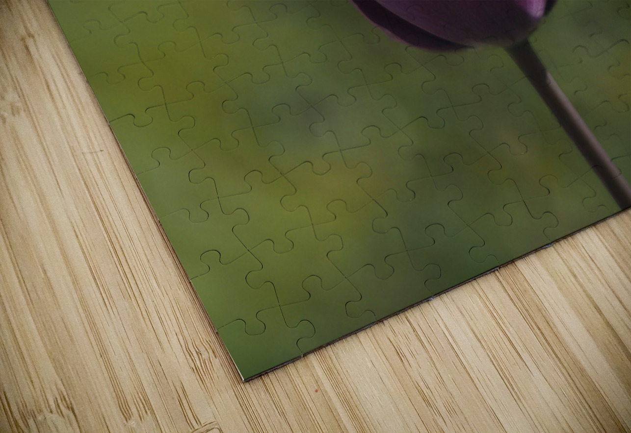 Early Morning Suzanne Bonin Puzzle