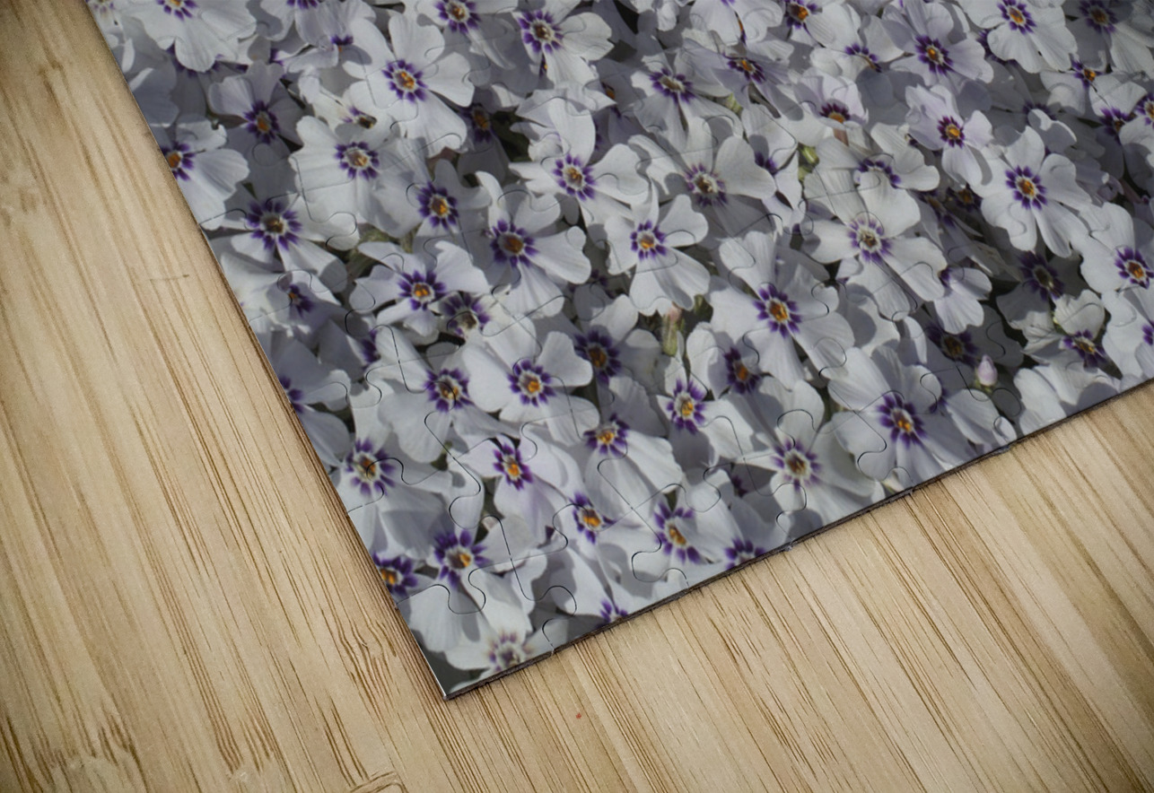 Moss Phlox Suzanne Bonin Puzzle