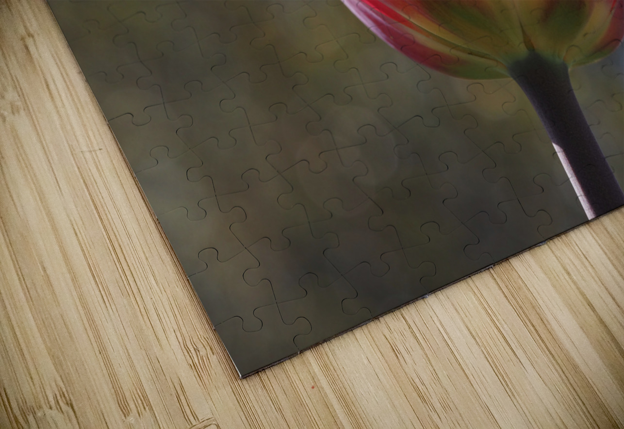 Showy Tulip Suzanne Bonin Puzzle