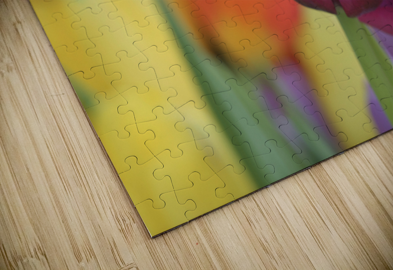 Colorful Suzanne Bonin Puzzle