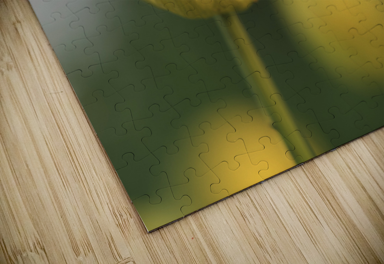 Lollipop Suzanne Bonin Puzzle