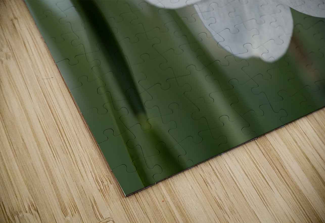 New Beginnings Suzanne Bonin Puzzle