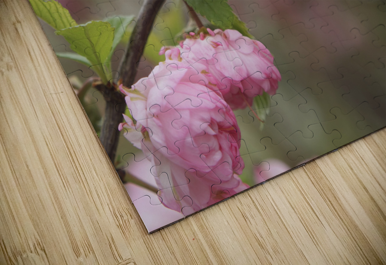 Pink Beauties Suzanne Bonin Puzzle