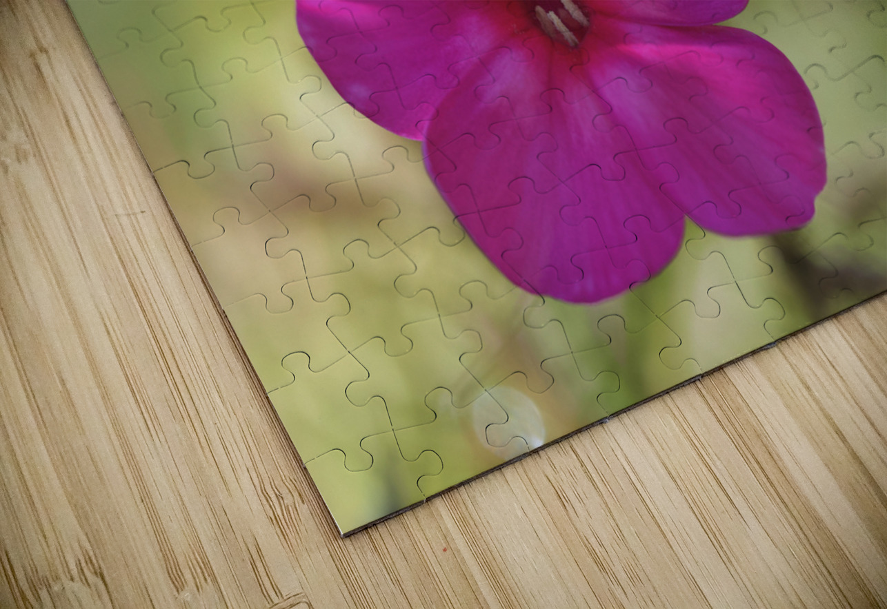 Summertime Suzanne Bonin Puzzle