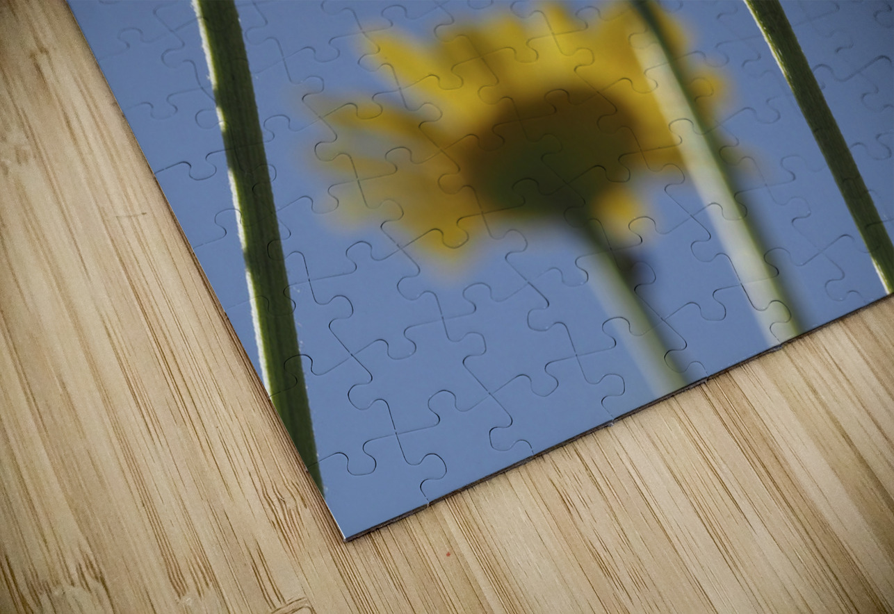 From Below Suzanne Bonin Puzzle