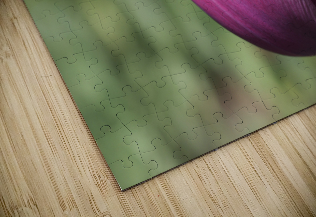 Big Purple Tulip Suzanne Bonin Puzzle