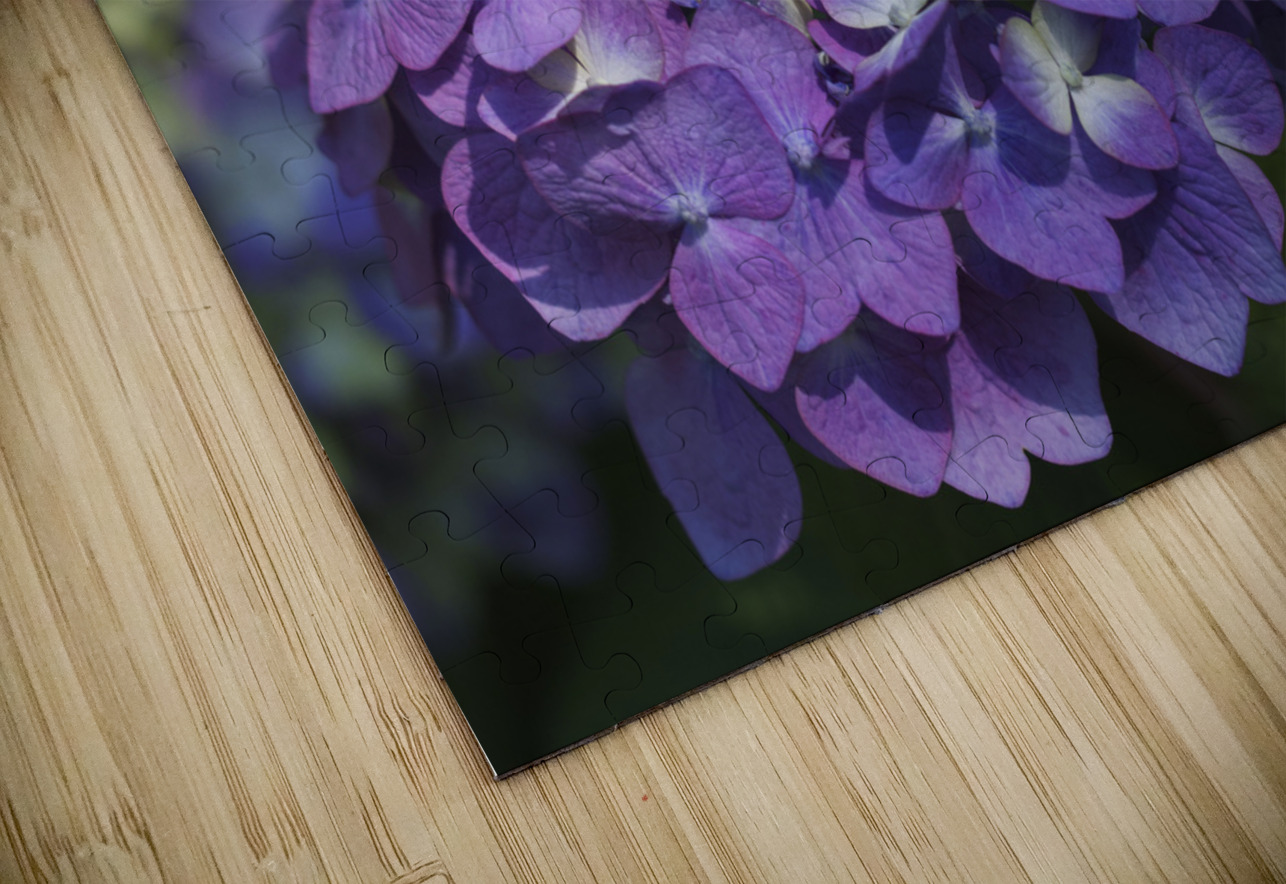 French Hydrangea Suzanne Bonin Puzzle