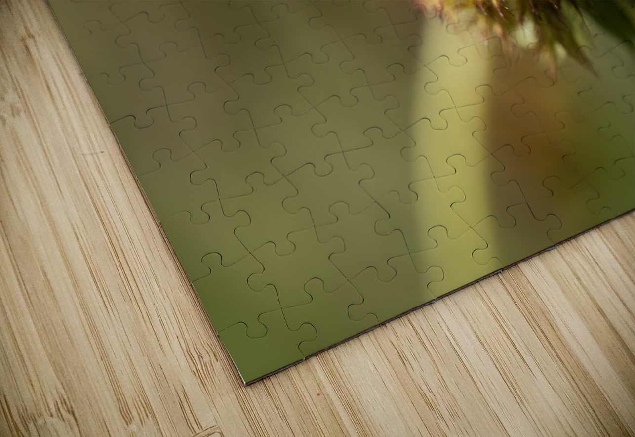 Sundance Seedhead Suzanne Bonin Puzzle