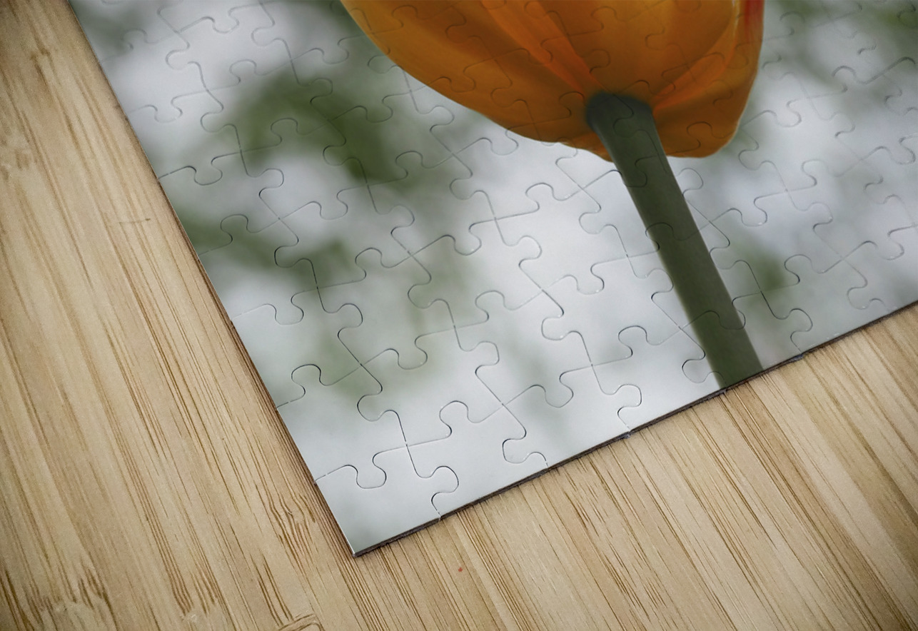 Red and Yellow Tulip Suzanne Bonin Puzzle