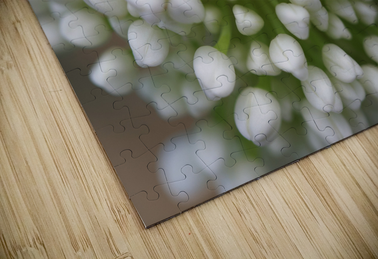 Another World Suzanne Bonin Puzzle