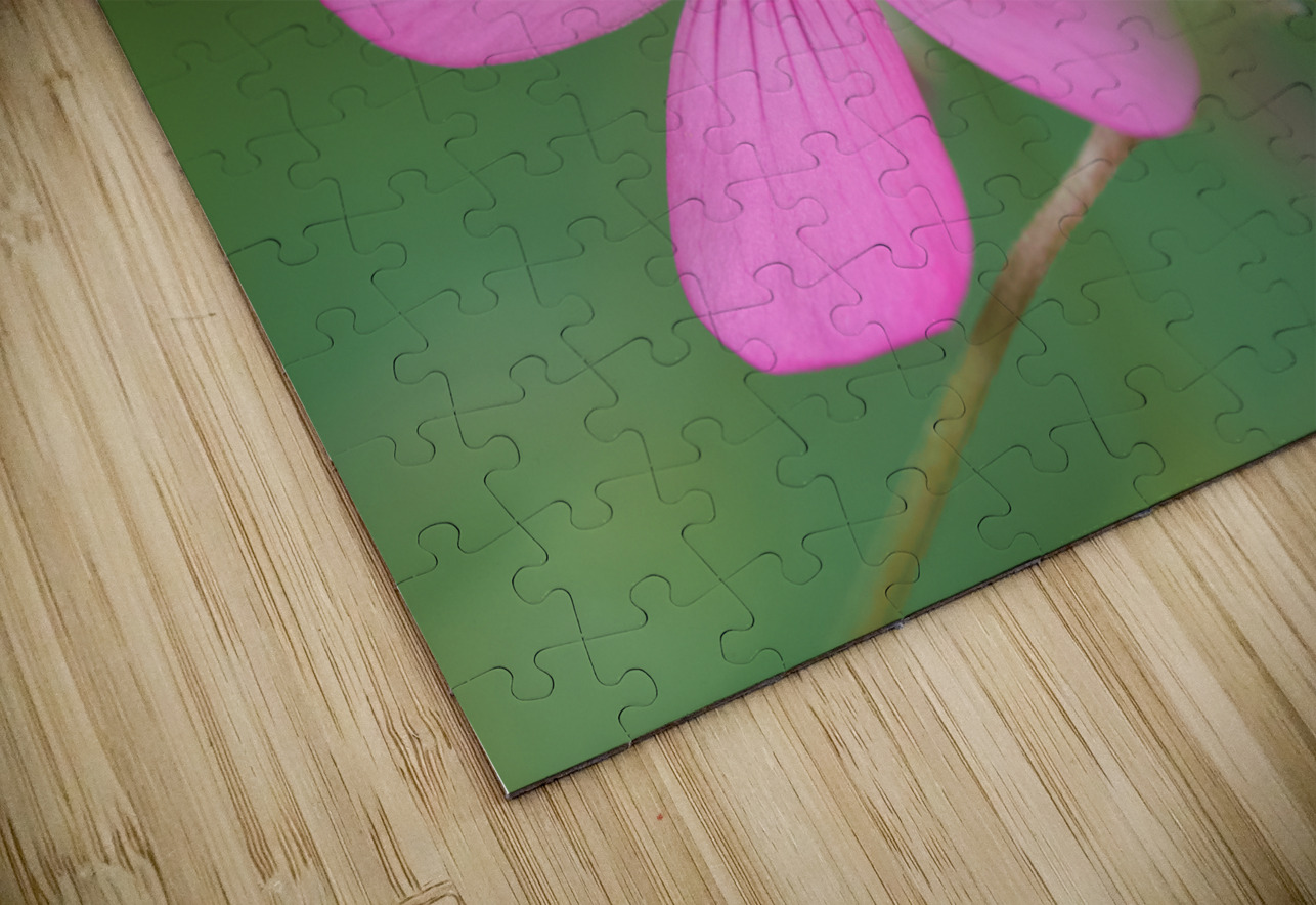 Pink Splash Suzanne Bonin Puzzle