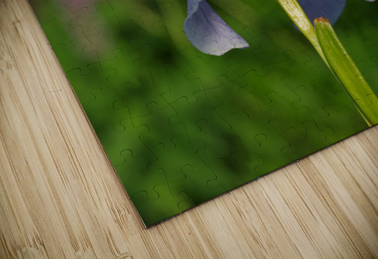 Violet Blue One Suzanne Bonin Puzzle