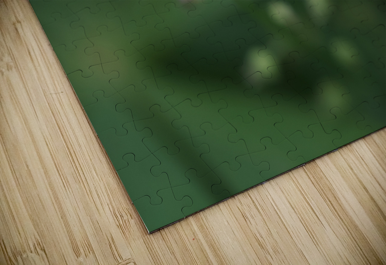 Small Universe Suzanne Bonin Puzzle