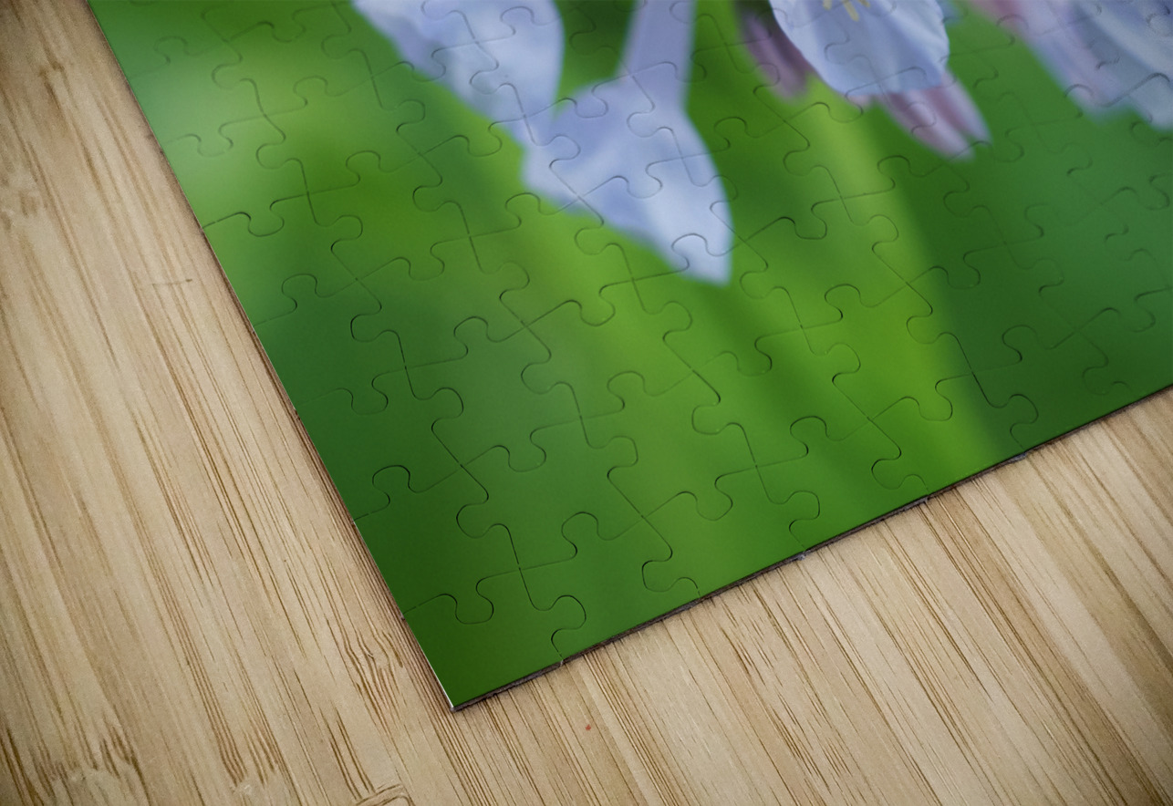 Little Bells Suzanne Bonin Puzzle