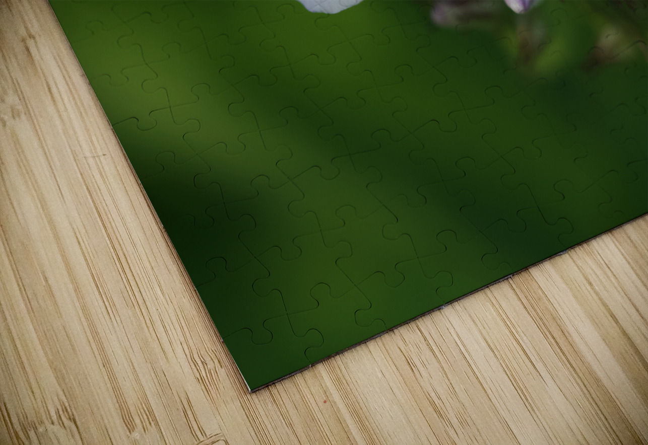 Bright Eyes Suzanne Bonin Puzzle