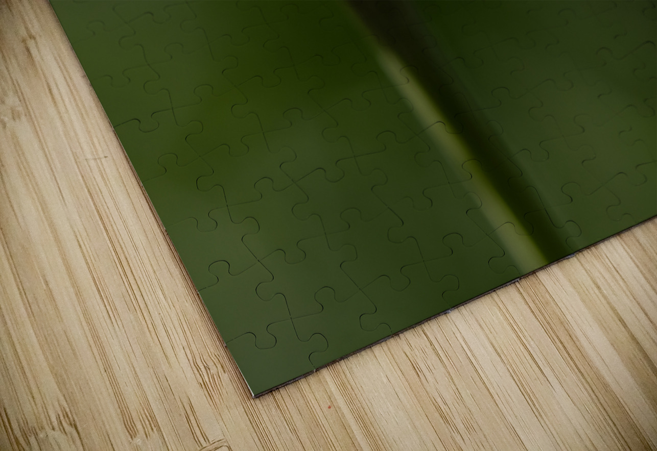 Pizazz Suzanne Bonin Puzzle