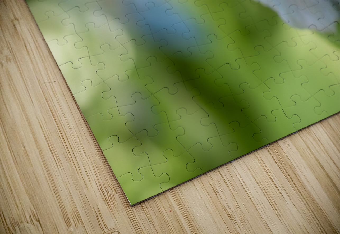 Himalayan Blue Poppy Suzanne Bonin Puzzle