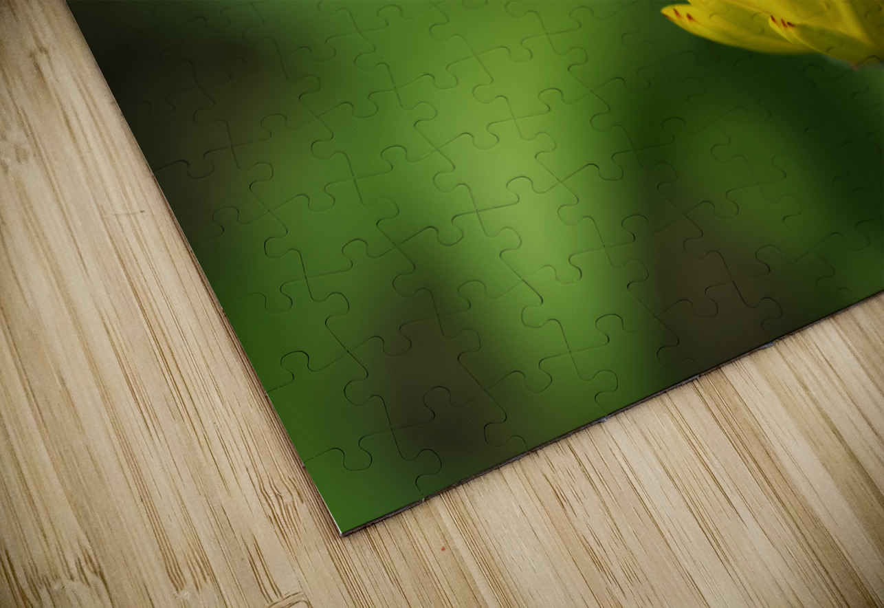 Yellow Bud Suzanne Bonin Puzzle