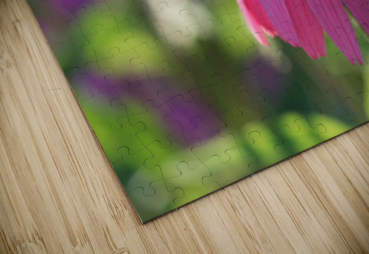 Purple Coneflower Suzanne Bonin Puzzle