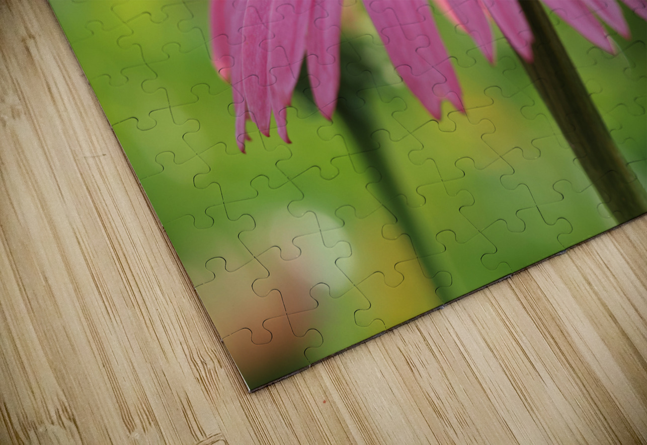 Little Devil Suzanne Bonin Puzzle